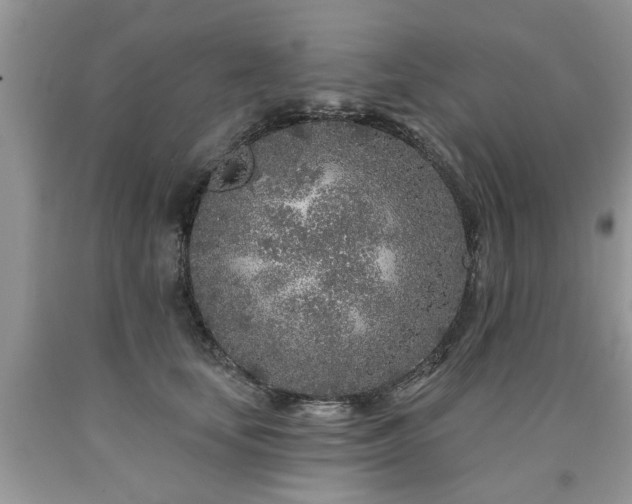 X0000090500659200707201548