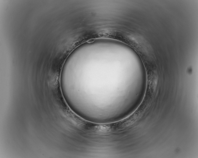 X0000090500660200707201548