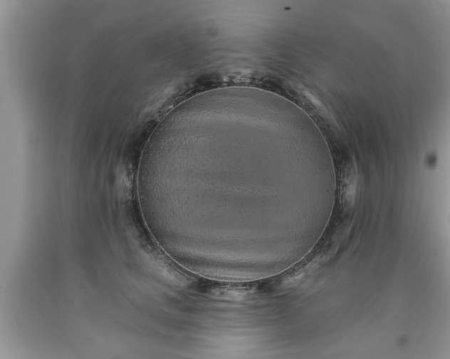 X0000090500661200707201548