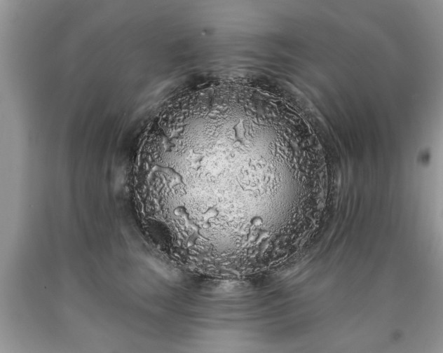 X0000090500663200707201548