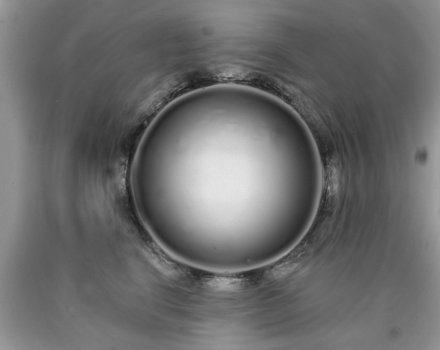 X0000090500664200707201548