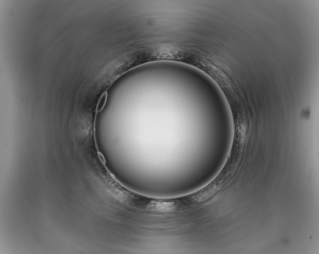 X0000090500665200707201548