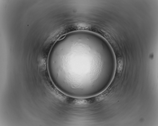 X0000090500666200707201548
