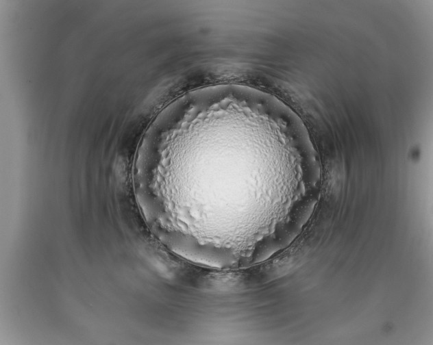 X0000090500667200707201548