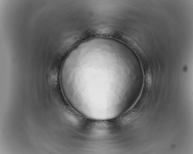 X0000090500668200707201548
