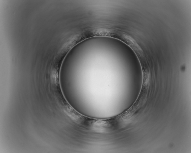 X0000090500669200707201548