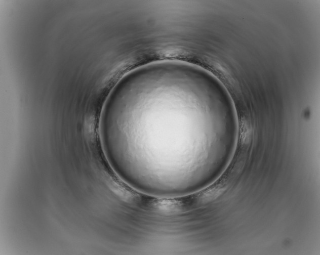 X0000090500670200707201548