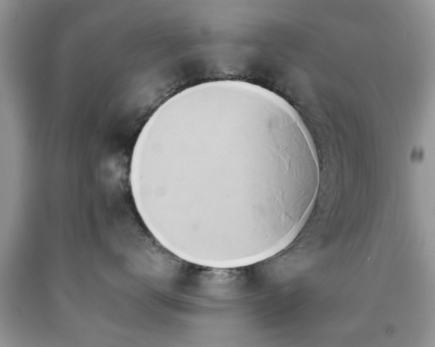 X0000090500672200707201548
