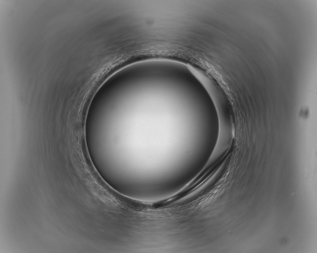 X0000090500673200707201547