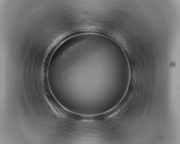 X0000090500674200707201547