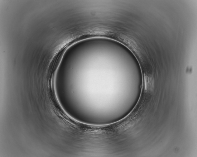 X0000090500675200707201547