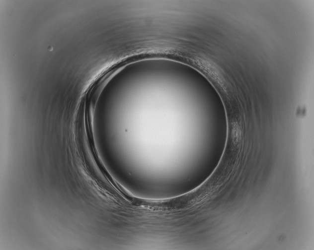 X0000090500676200707201547