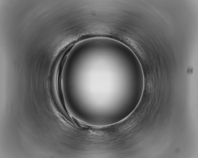 X0000090500677200707201547