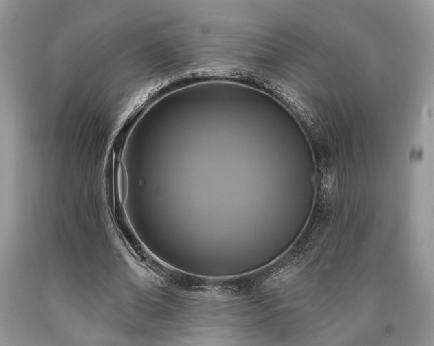 X0000090500678200707201547