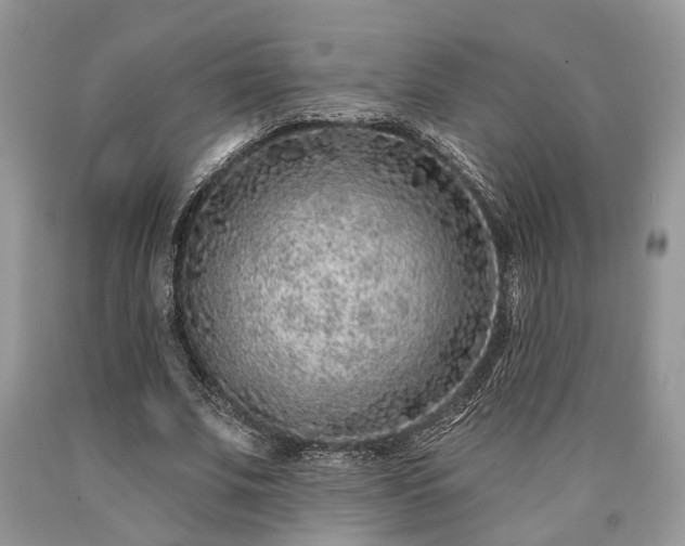 X0000090500679200707201547