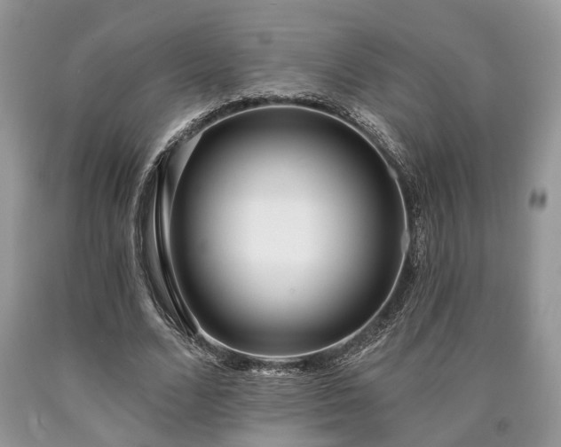 X0000090500680200707201547