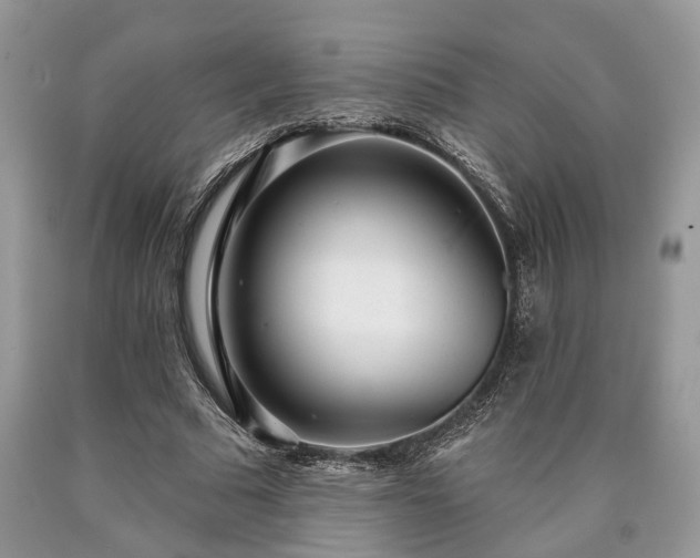 X0000090500681200707201547