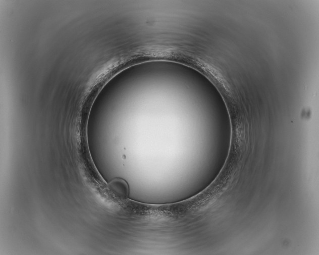 X0000090500682200707201547
