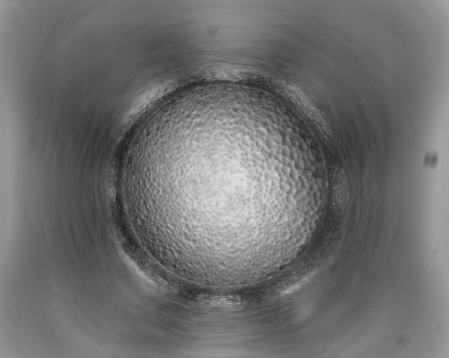 X0000090500683200707201547