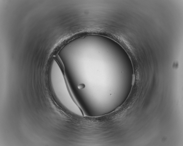 X0000090500684200707201547