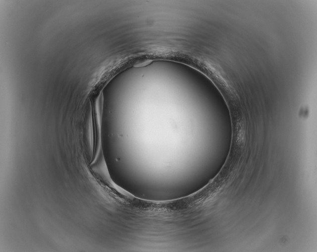 X0000090500685200707201547