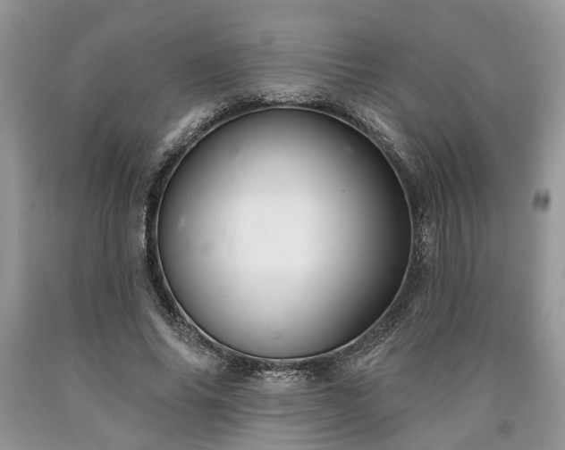 X0000090500686200707201547