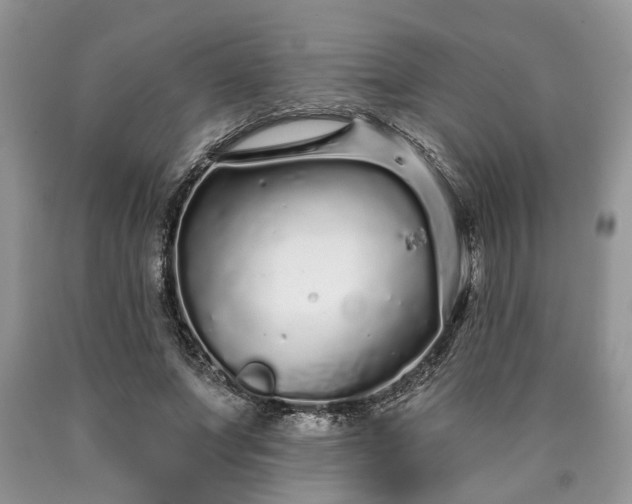 X0000090500687200707201547