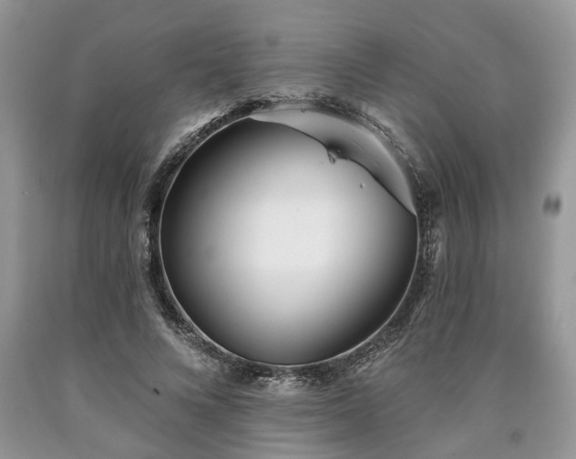 X0000090500688200707201547