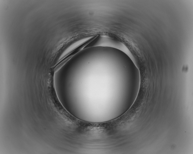 X0000090500689200707201547