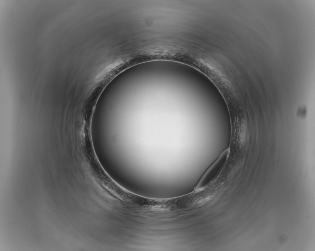 X0000090500692200707201547