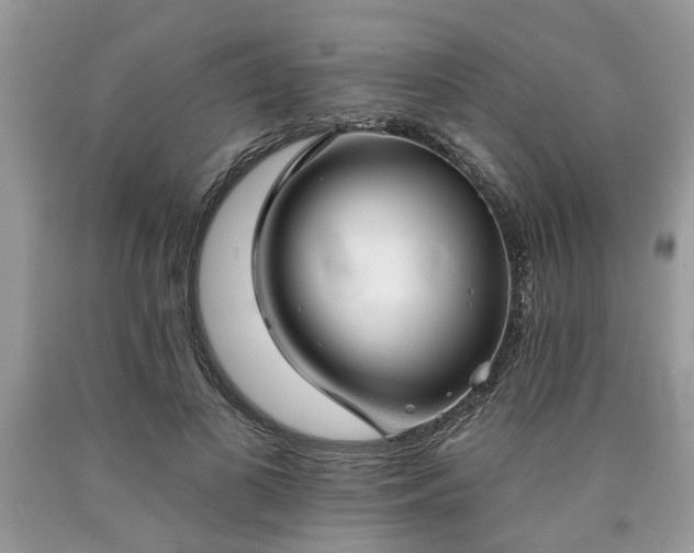 X0000090500693200707201547