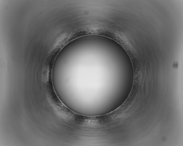 X0000090500694200707201547