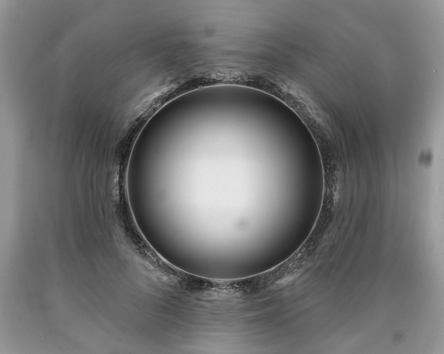 X0000090500696200707201547