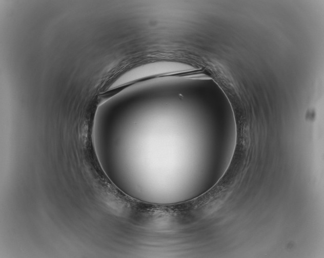 X0000090500697200707201547
