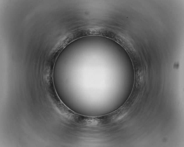 X0000090500698200707201547