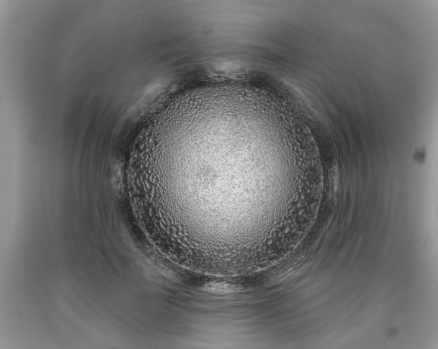 X0000090500699200707201547