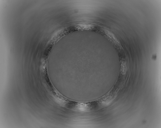 X0000090500701200707201547