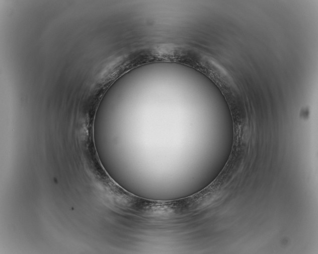 X0000090500702200707201547