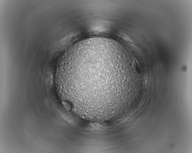 X0000090500703200707201547