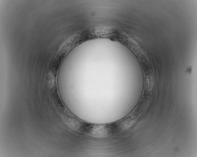 X0000090500705200707201547