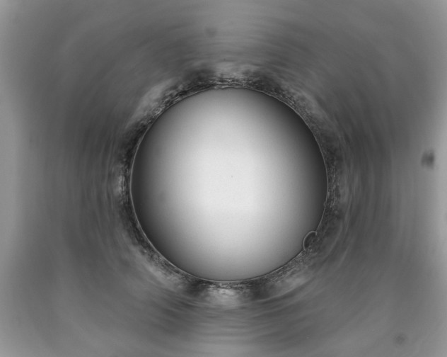 X0000090500706200707201547