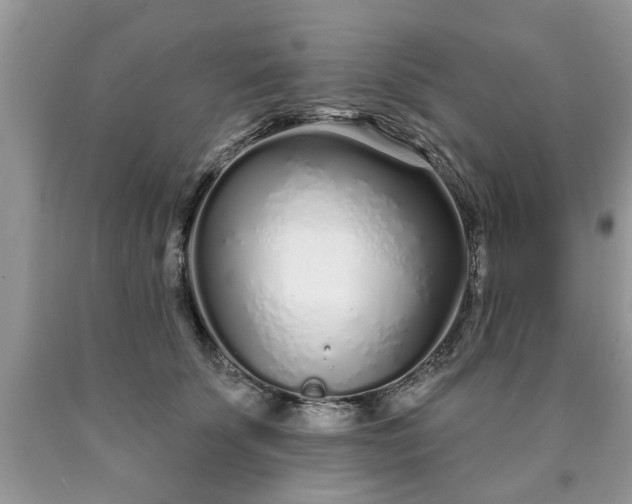 X0000090500707200707201547