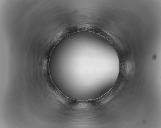 X0000090500708200707201547