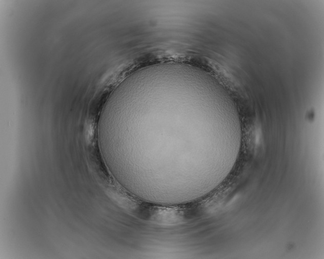 X0000090500709200707201547