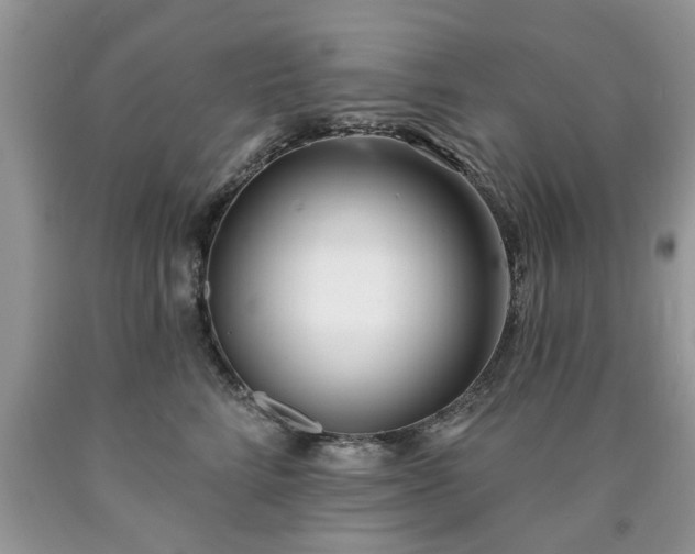 X0000090500712200707201547