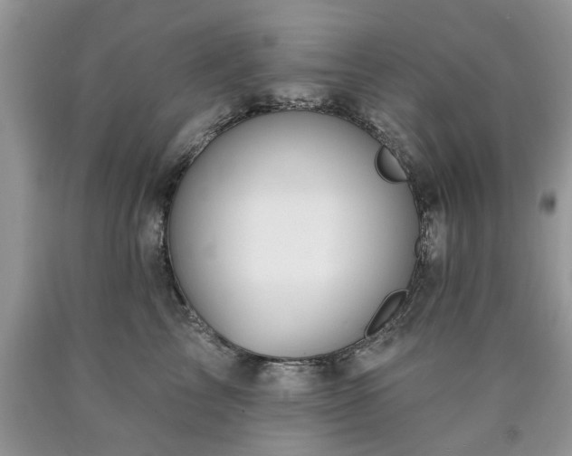 X0000090500713200707201547