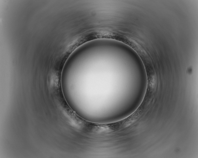 X0000090500715200707201547
