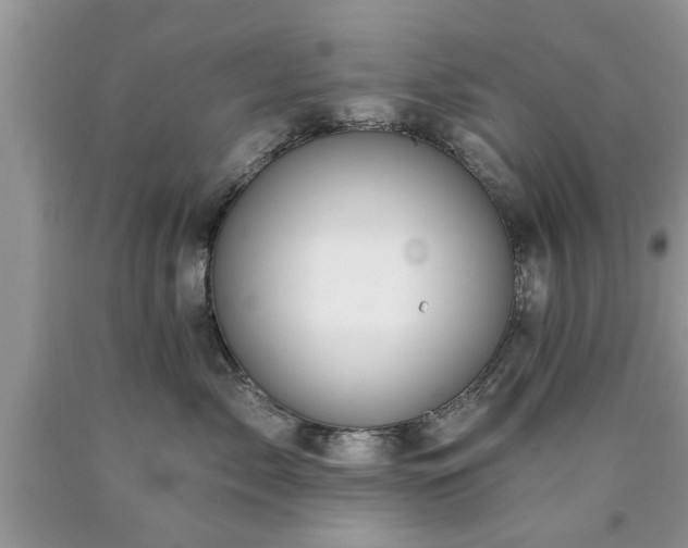 X0000090500717200707201547