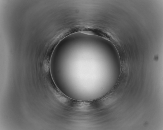 X0000090500719200707201547