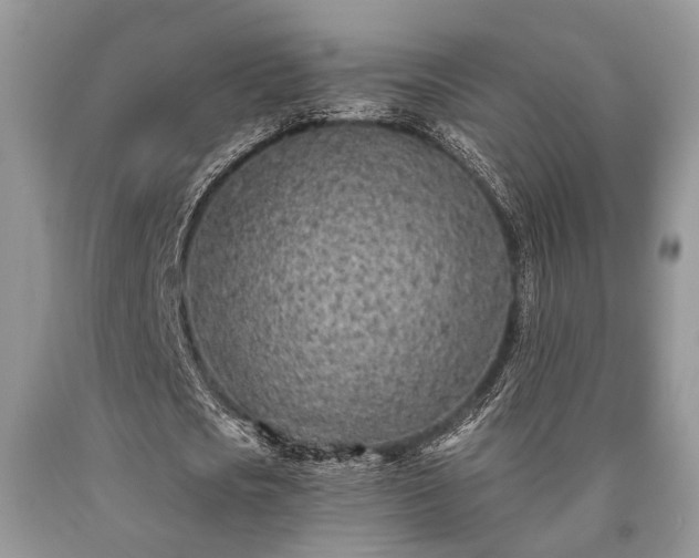 X0000090500721200707201546